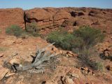 Kings canyon